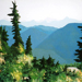 Mountain Hemlock Zone