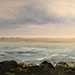4-Seaweed-beach-for-Allison